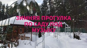 Как выглядит сад на даче после новогодних праздников!