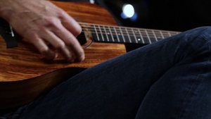 Taylor Guitars Baby Taylor Series  •  Wildwood Guitars