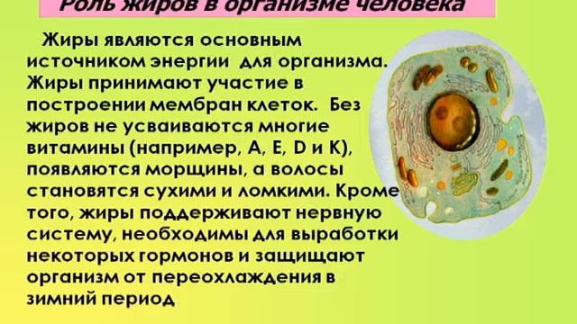 Химия. Жиры. Моющие средства смотреть онлайн
