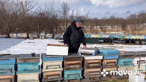 Альтернатива для ППС, ППУ ульев. Донья и крыши из дерева.