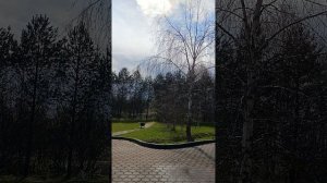 121 день