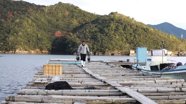 How Pearls are formed in Oysters in Telugu | Pearls are made when Oysters are irritated смотреть онлайн