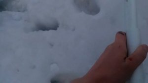 пцп винтовка из пвх трубы