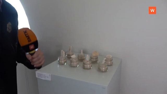Выборгская сторона: выставочный центр 