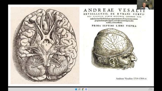 1 лекция. Введение в нейронауки смотреть онлайн