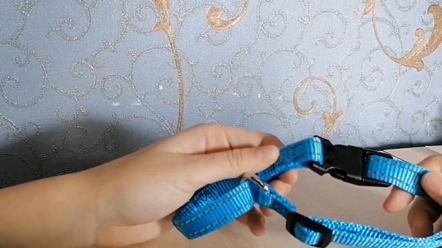 💞Покупки с ВБ💞для собак!!
