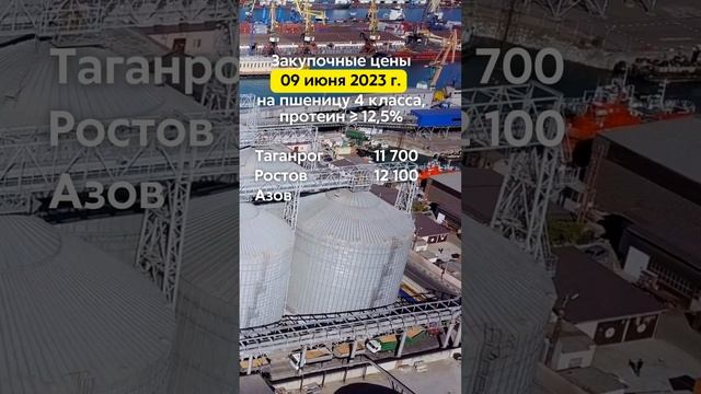 Закупочные цены 09/06/2023г. на пшеницу 4 класса (протеин ≥ 12,5%) в портах Азовского и Чёрного моря