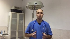 Блошиный дерматит - причина расчесов у кошек и собак
