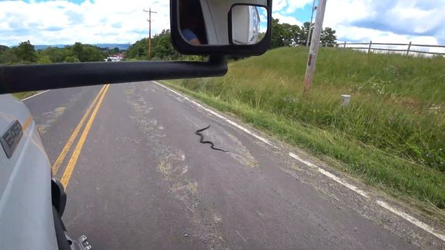 США ВЛОГ / Платные дороги в АМЕРИКЕ / Обзор магазина LIDL / День 19 смотреть онлайн