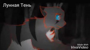 Коты-воители {клип} •Это судьба преподносит урок•