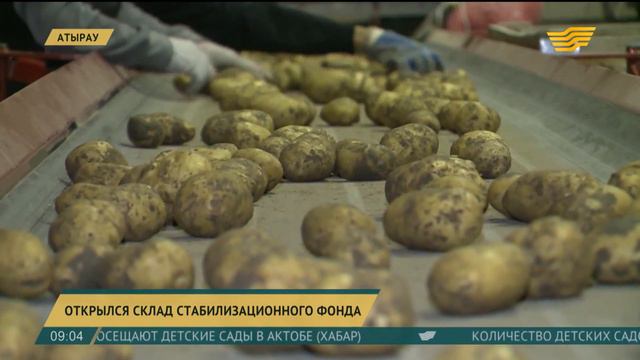Продовольственные запасы стабфонда Атырау сформированы до середины мая смотреть онлайн