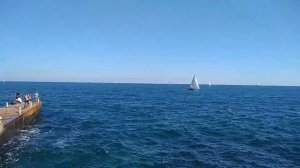 Море, яхты, катера