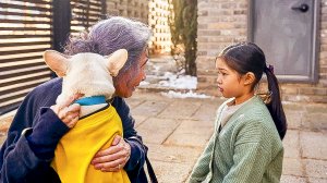 Хвостатый переполох. Русский тизер (Дубляж, 2024) Комедия, драма