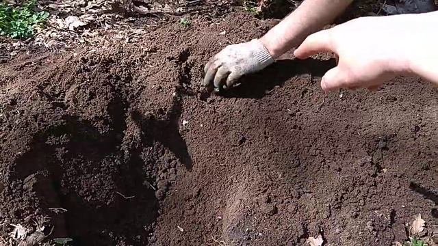 Поиск в лесу металлоискателем МД 40-30