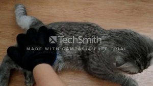 ПЕРЧАТКА ДЛЯ ШЕРСТИ! СНЯЛА С КОТА ВСЮ ШЕРСТЬ - КОТ ДОВОЛЕН