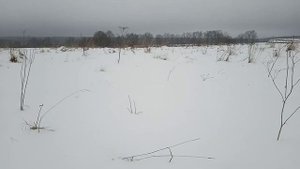 охота с мр 512