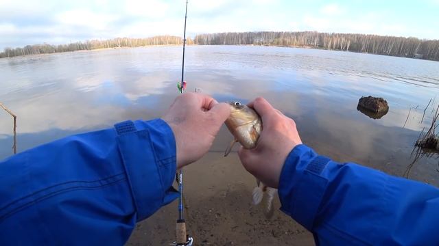 Первый карась 2021. Ждём конец нерестового запрета смотреть онлайн