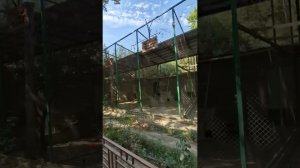 Продолжение прогулки по парку санатория Бахористон