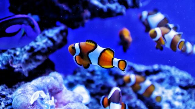 Интересные истории. Да кому ты нужна будешь. Душевные истории. Жизненные истории. Рассказы. смотреть онлайн