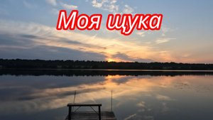 Поймала большую щуку