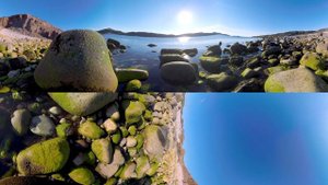 Кино 360. Кандалакшский заповедник