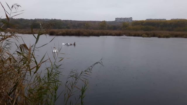 Славянск. 23 октября 2022г. Вечер. смотреть онлайн
