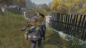 DayZ пс5 выследить рейдыров в звир
