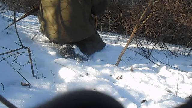 УДАЧА ПОЙМАЛ ОЧЕНЬ КРАСИВОГО ФАЗАНА ПОЙМАТЬ ФАЗАНА НА СИЛКИ смотреть онлайн