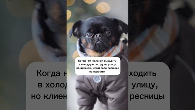 Лэшмастер и клиентка