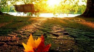 Осеннее настроение. стихи про осень.