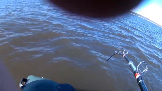 СОМ 34 КГ НА КВОК.ТРОФЕЙ ЭТОГО ГОДА смотреть онлайн