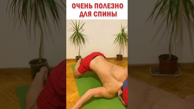 ? Очень полезно для спины и осанки ? Простое упражнение #знаюиделаю #здоровье #позвоночник #зож