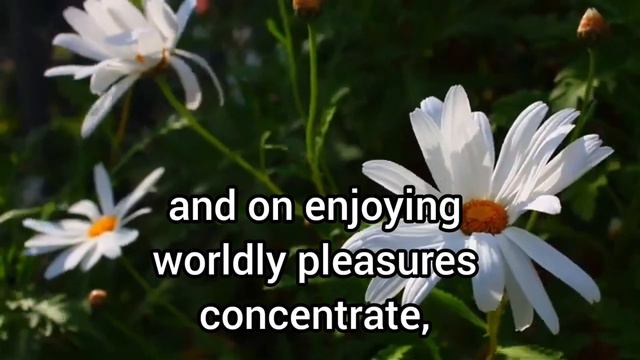 Unfruitful people смотреть онлайн