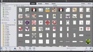 Advanced Searches in the Photoshop Elements Organizer Search box