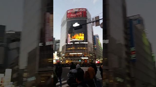 Сибуя, популярный район в Токио. Shibuya Crossing