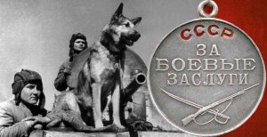 Джульбарс- собака-герой Великой Отечественной войны