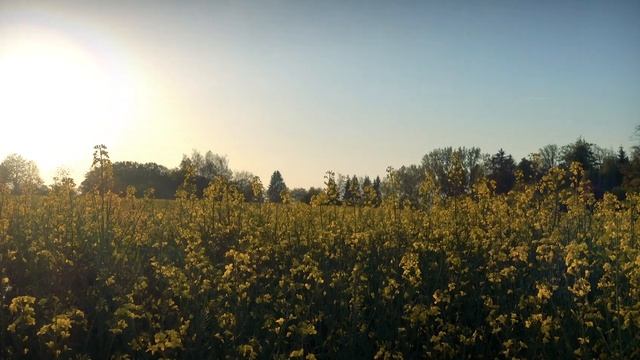 Aperture Priority Mode - Explained! смотреть онлайн