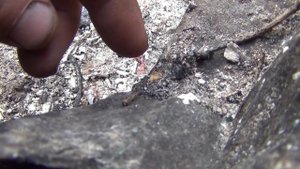 Выживание Медведь на Рыбалке  Сибирь, Тайга, Поход  Охота Лес Таймень Счастливые люди Хариус Ночевк