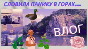 ВЛОГ Горячий ключ Скала Петушок. Утки, кофе, парк, посылка, relaxing