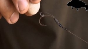 Monster Carp - Чудовищный карп Австрия. Карпфишинг