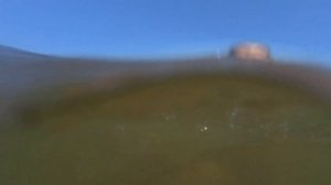 Подводный поиск на море Анапа 2021 с металлоискателем Quest Scuba Tector