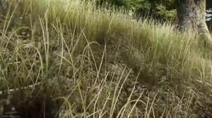 Escape From Tarkov#Побег из тарков#2018#,bitkoin#3 биткоина за раз#найти биткоин#