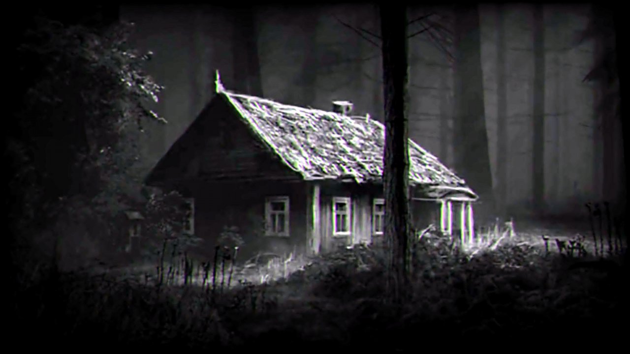 Однажды в лесу