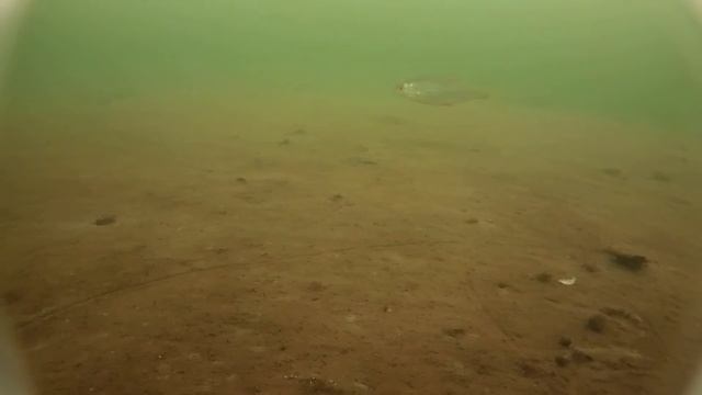 Подводная камера. Малый комплект. смотреть онлайн