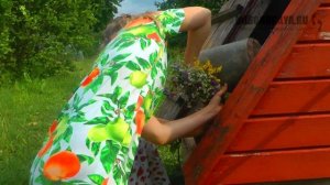 Опасно запрещать детям ходить босиком ? БОСОНОГАЯ.РФ