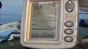 Отображение сома на эхолоте