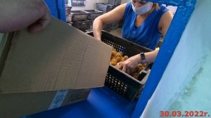 Поездка за цыплятами. Цены на продукты.