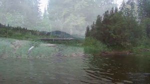 Сплав по Вишере, 1-й день.