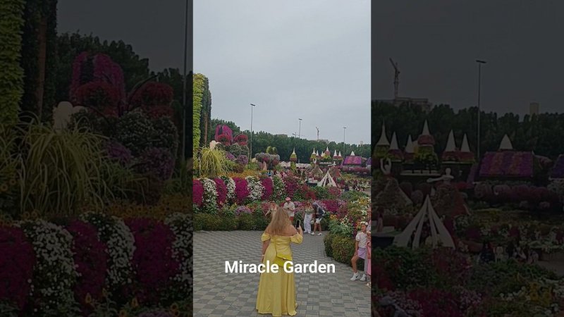 Dubai Miracle Garden #travel #dubai #отдых #путешествия #miraclegarden