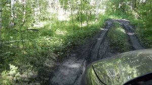 В поисках Туевой Рощи у Стеньшино.